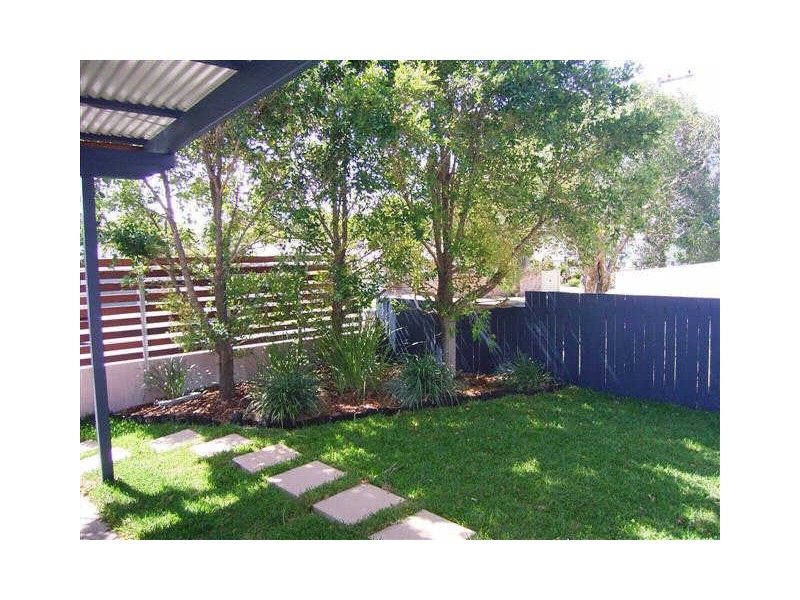 Shelly Beach QLD 4551