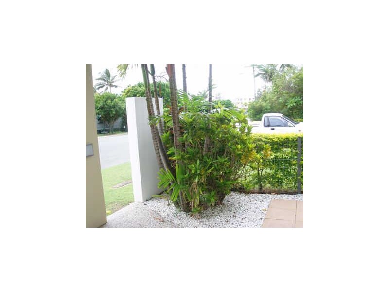 26 Roderick Street, Moffat Beach QLD 4551