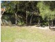 Sunshine Beach QLD 4567