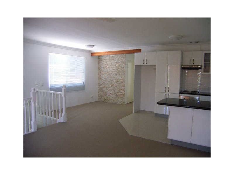 Shelly Beach QLD 4551