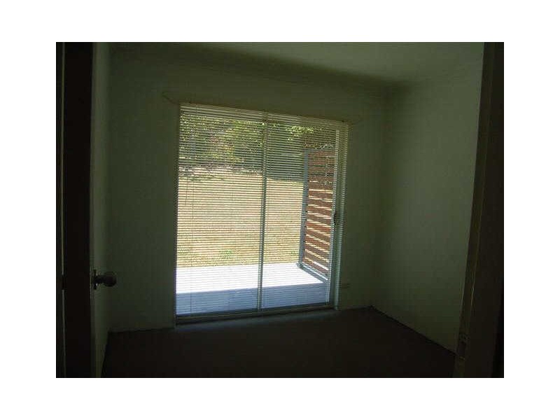 Shelly Beach QLD 4551