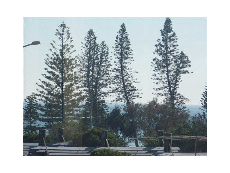 Dicky Beach QLD 4551