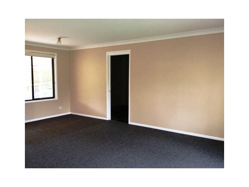 Dicky Beach QLD 4551