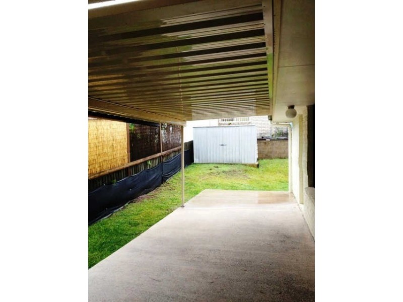 Dicky Beach QLD 4551