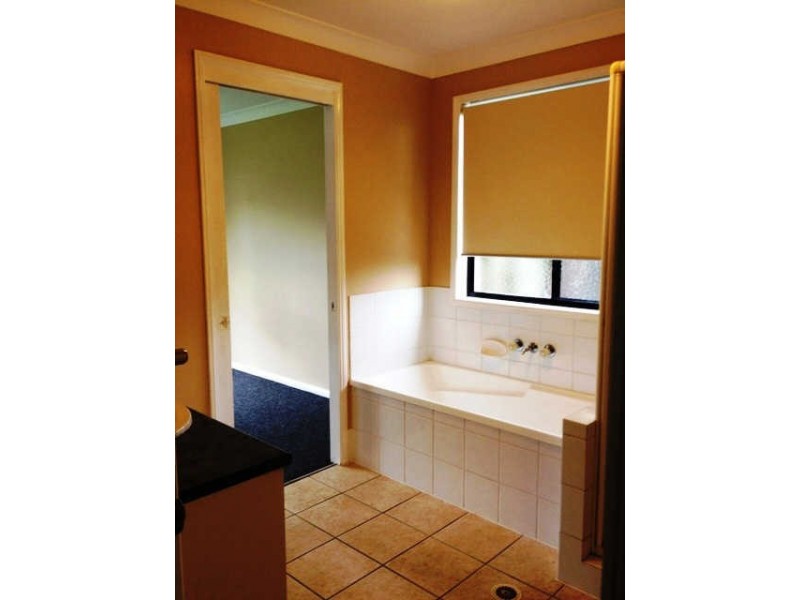 Dicky Beach QLD 4551