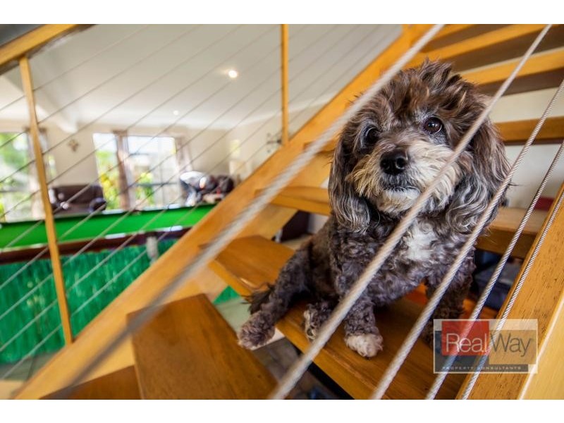 16 Hill Street, Currimundi QLD 4551