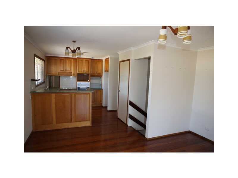 Dicky Beach QLD 4551