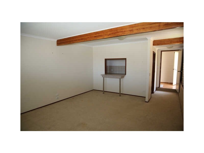 Dicky Beach QLD 4551