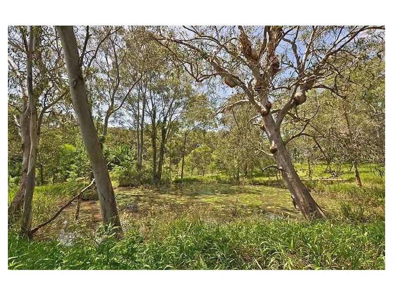 1 Tallowood Close, Little Mountain QLD 4551