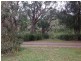 Dicky Beach QLD 4551