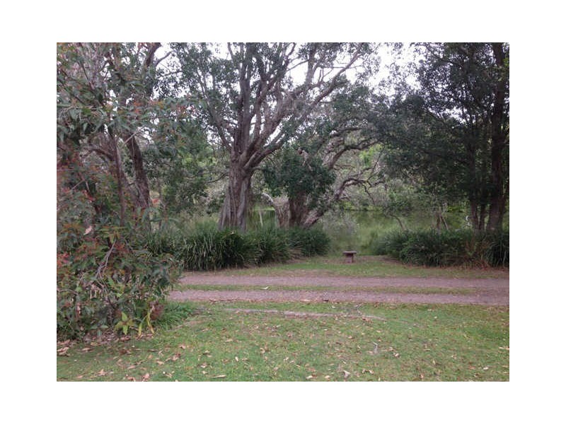 Dicky Beach QLD 4551