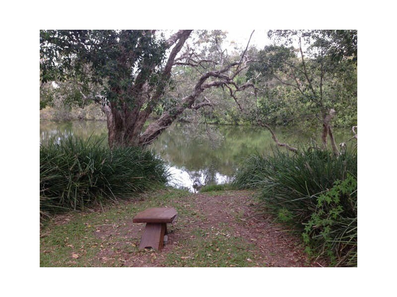 Dicky Beach QLD 4551