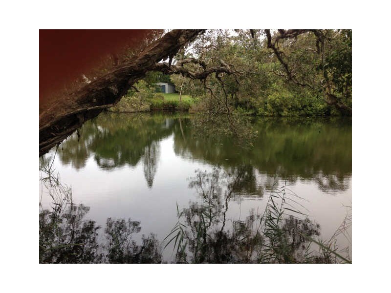 Dicky Beach QLD 4551