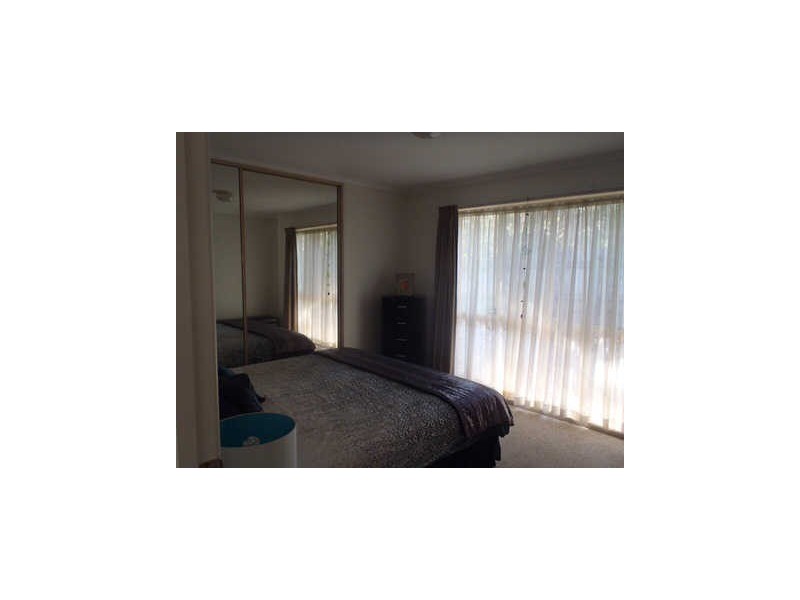 Caloundra QLD 4551