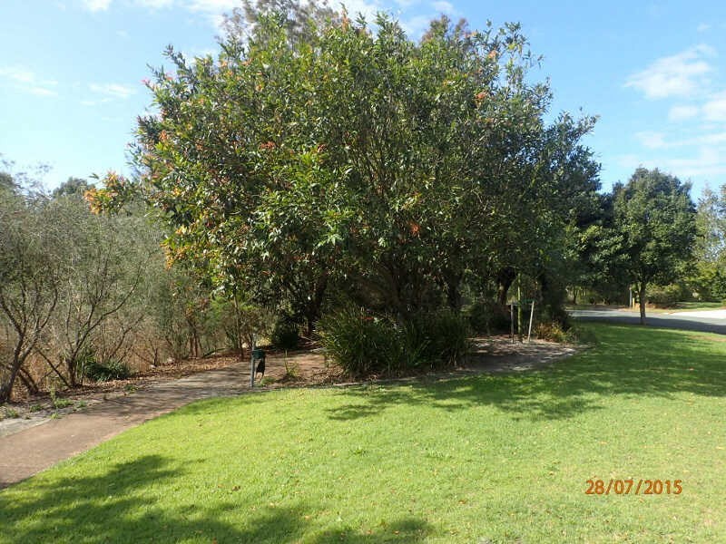Currimundi QLD 4551