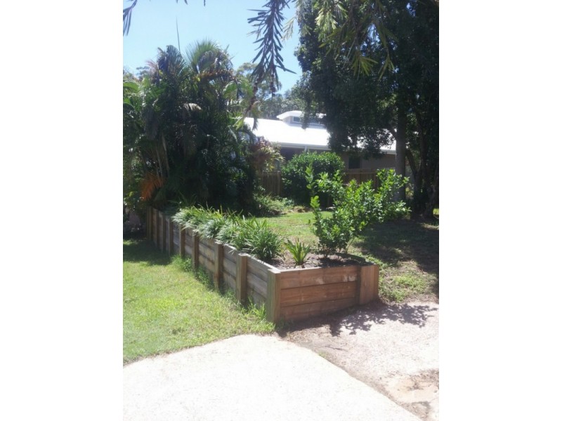 16 Tarnkun Street, Alexandra Headland QLD 4572