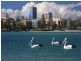 27 Taylor Avenue, Golden Beach QLD 4551