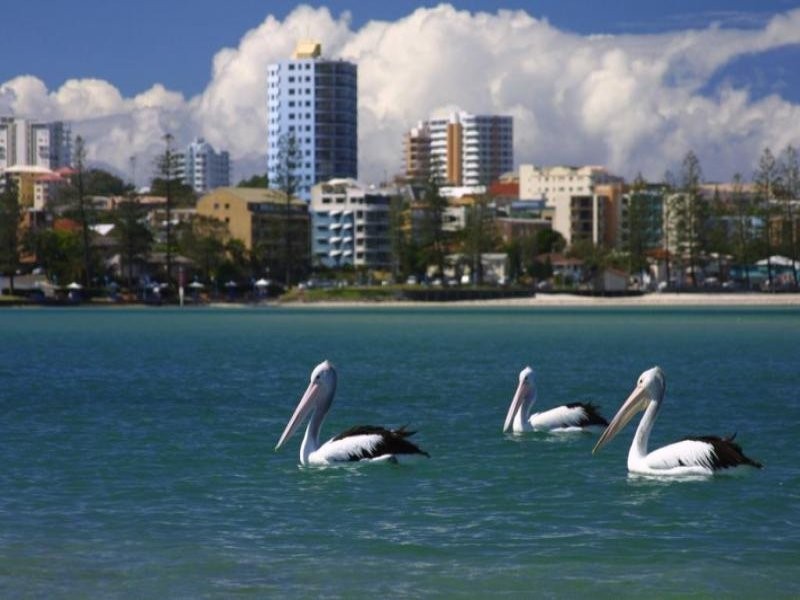 27 Taylor Avenue, Golden Beach QLD 4551