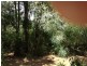 Currimundi QLD 4551