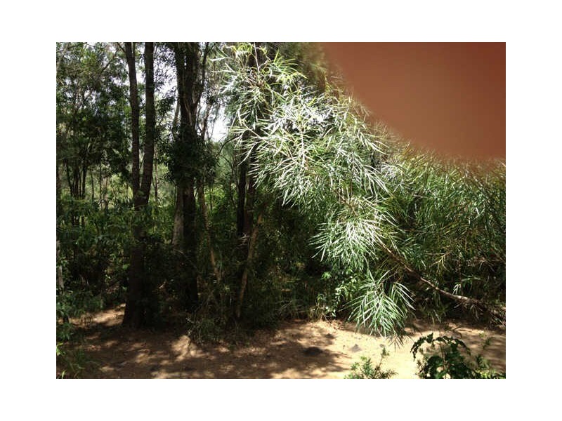 Currimundi QLD 4551