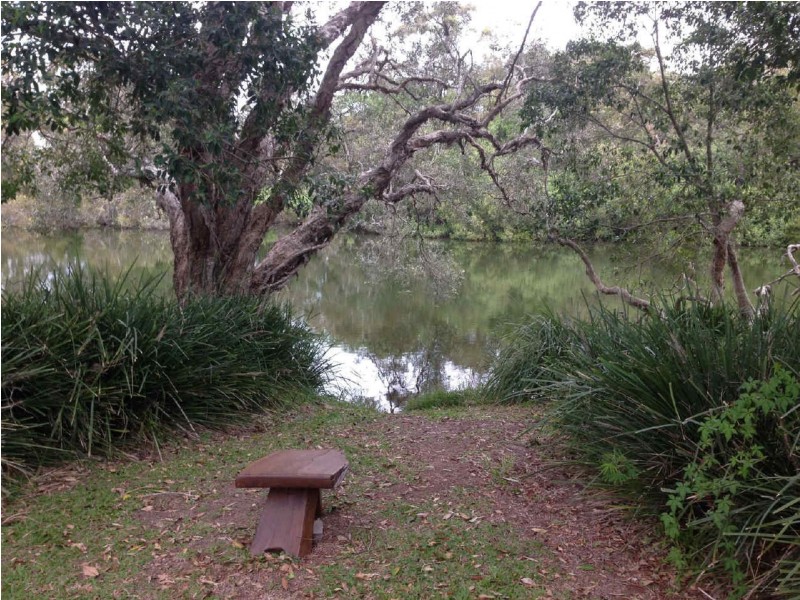 12 Macdonald Street, Dicky Beach QLD 4551