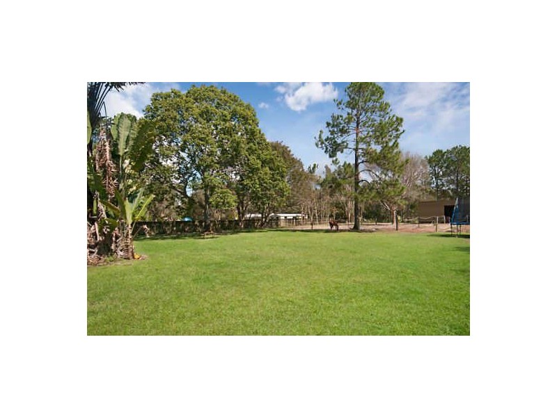 19 Koala Court, Little Mountain QLD 4551