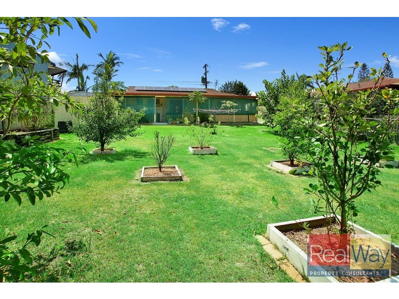 50 Enfield Crescent, Battery Hill QLD 4551