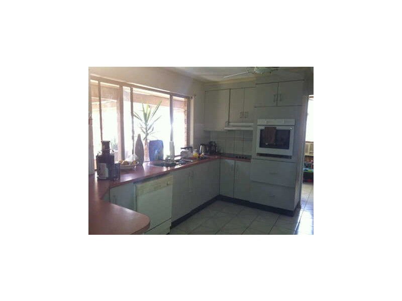 4 Wandarri Street, Wurtulla QLD 4575