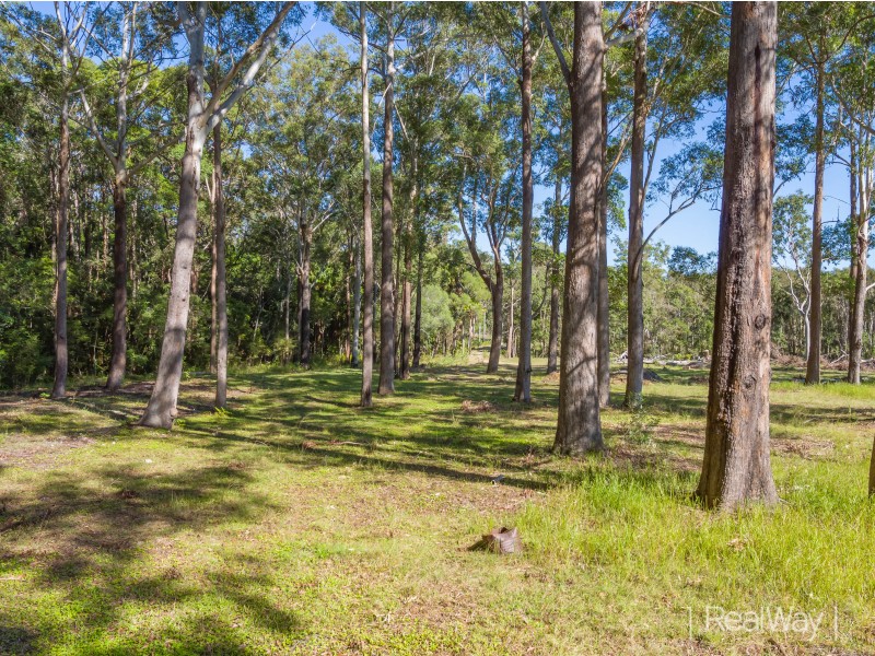 81 Rainforest Drive, Meridan Plains QLD 4551