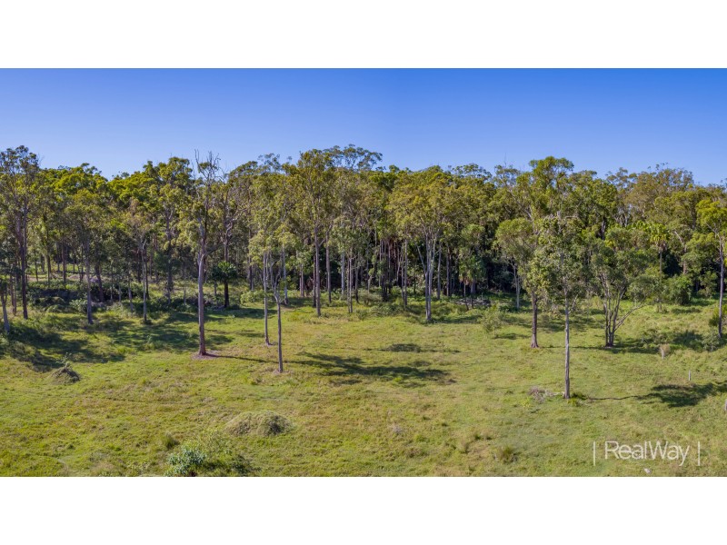 81 Rainforest Drive, Meridan Plains QLD 4551