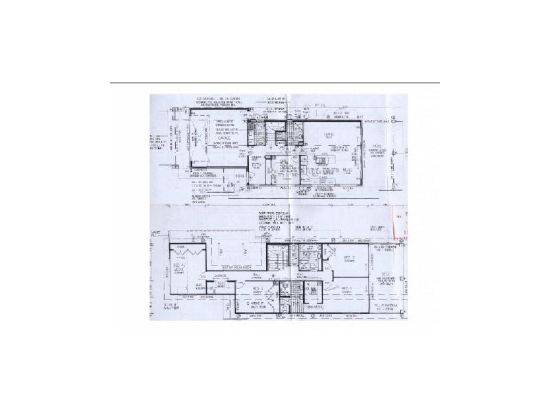 8 Buruwang Street, Birtinya QLD 4575 Floorplan