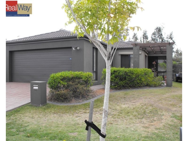 38 Macaranga Crescent, Carseldine QLD 4034