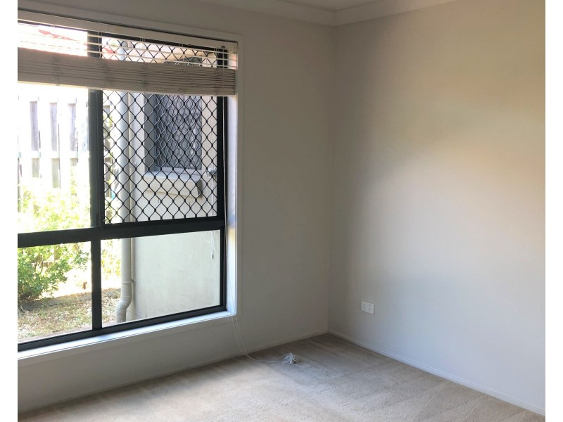 38 Macaranga Crescent, Carseldine QLD 4034