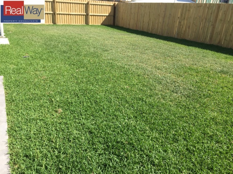 17 Wallace Street, Mango Hill QLD 4509