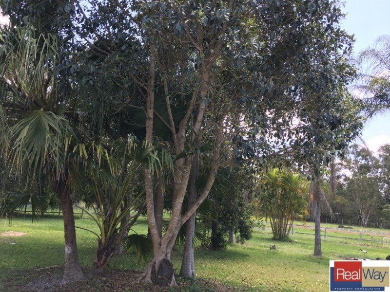 14 Ruatoka Court, Burpengary QLD 4505