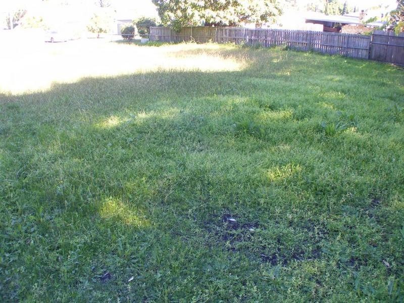 92a Blackstone Road, Silkstone QLD 4304