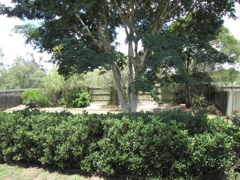 114 Equestrian Drive, Yamanto QLD 4305