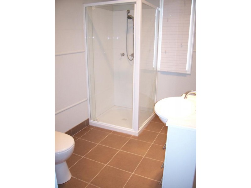 29 Greenham Street, Raceview QLD 4305