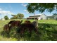 61 Henderson Road, Lanefield QLD 4340