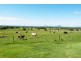 61 Henderson Road, Lanefield QLD 4340