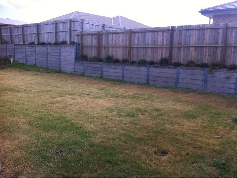 15 Kingsburgh Street, Raceview QLD 4305