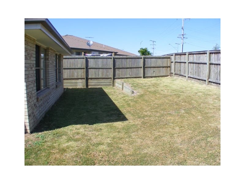 17 Tea Tree Place, Raceview QLD 4305