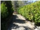 4 Flametree Close, Flinders View QLD 4305