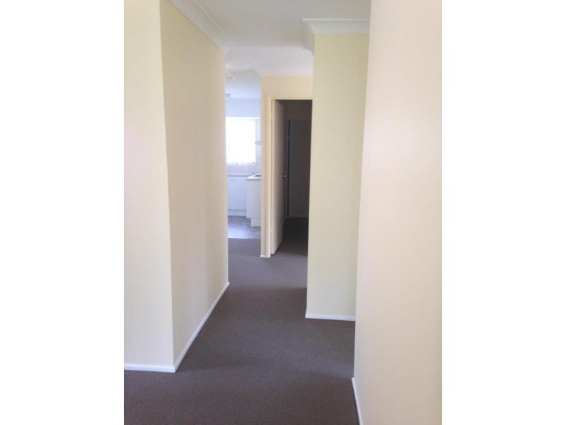 146 Wildey Street, Raceview QLD 4305
