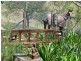 196 Eder Brothers Road, Mount Walker QLD 4340
