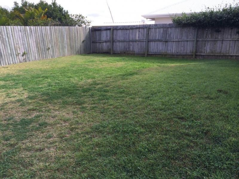 8 Darlington Court, Flinders View QLD 4305