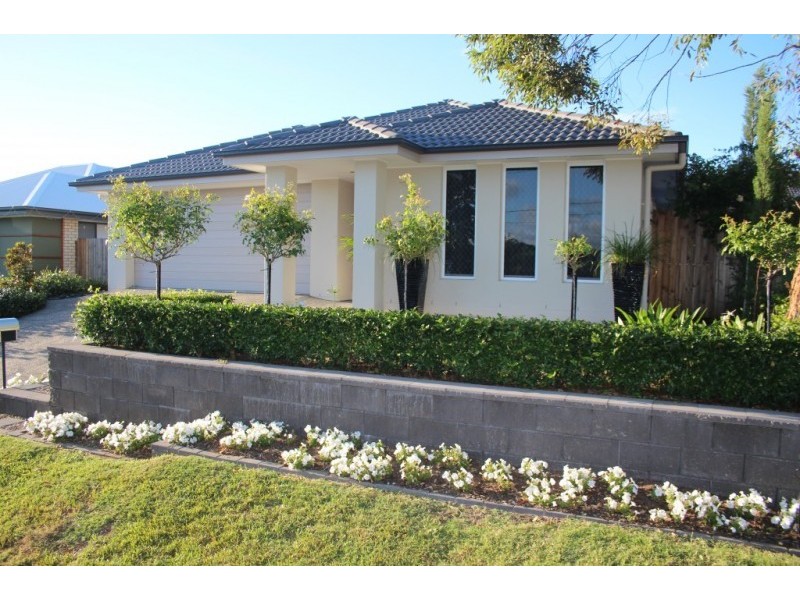 49 Harding Street, Raceview QLD 4305