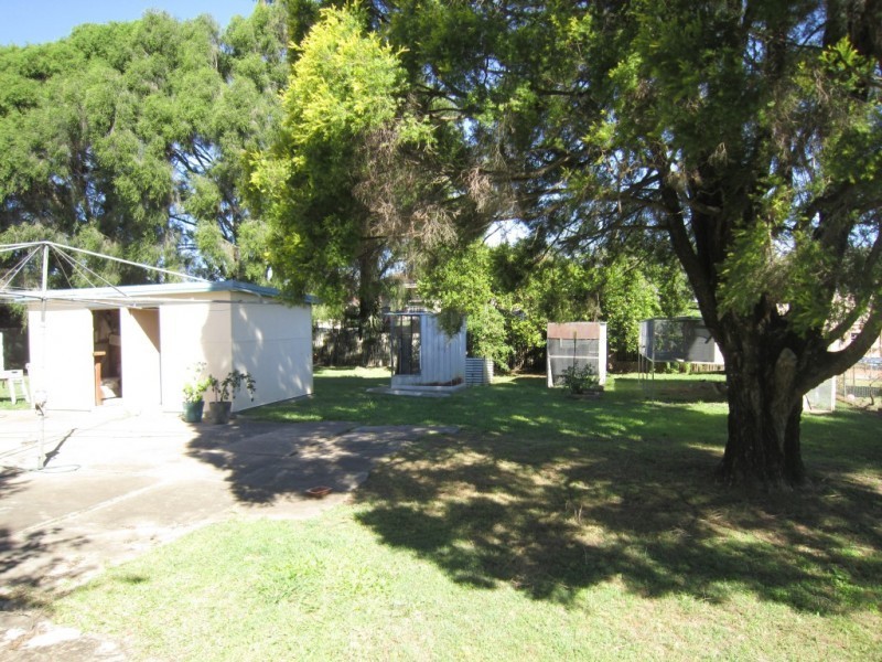 20 Mcgill Street, Raceview QLD 4305