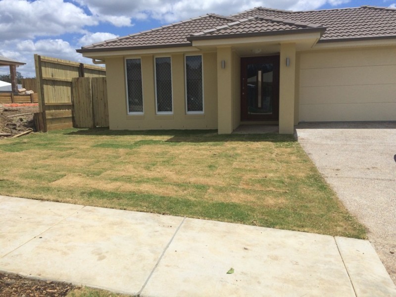 5 Lomandra Street, Deebing Heights QLD 4306