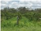 825 Esk-Hampton Road, Redbank Creek QLD 4312